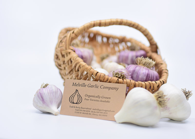 Melville Garlic Company